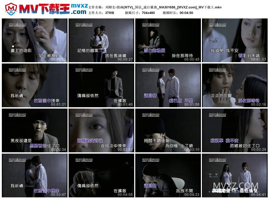 刘畊宏-情画(MTV)_国语_流行歌曲_MA301656